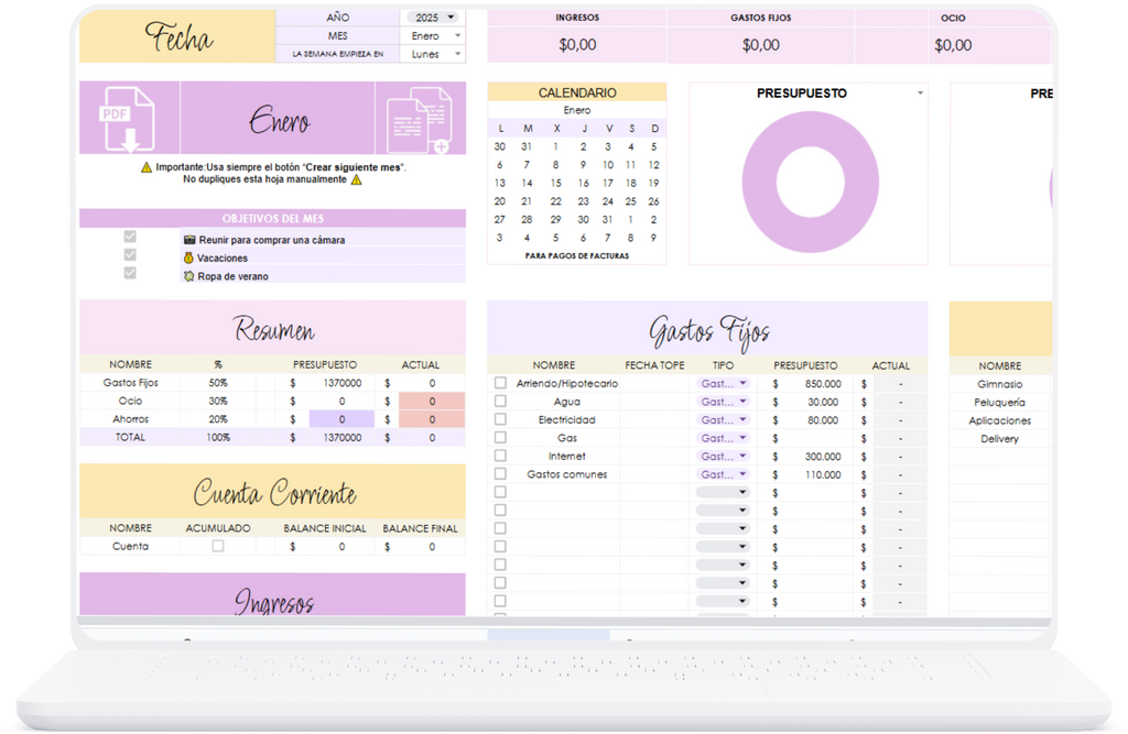 Planilla control de gastos PRO
