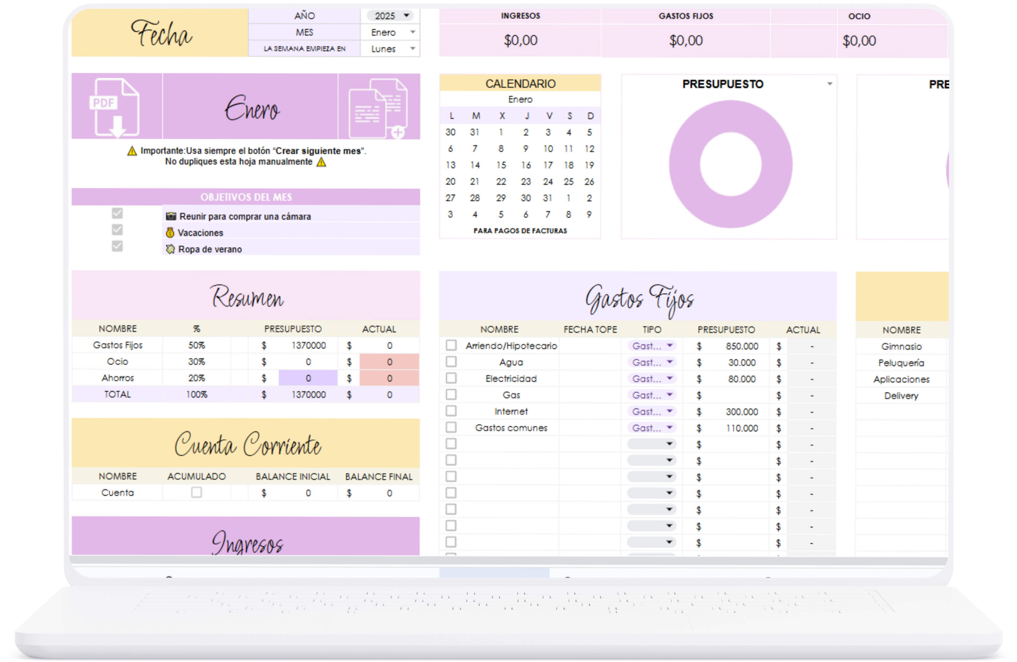 Planilla control de gastos PRO