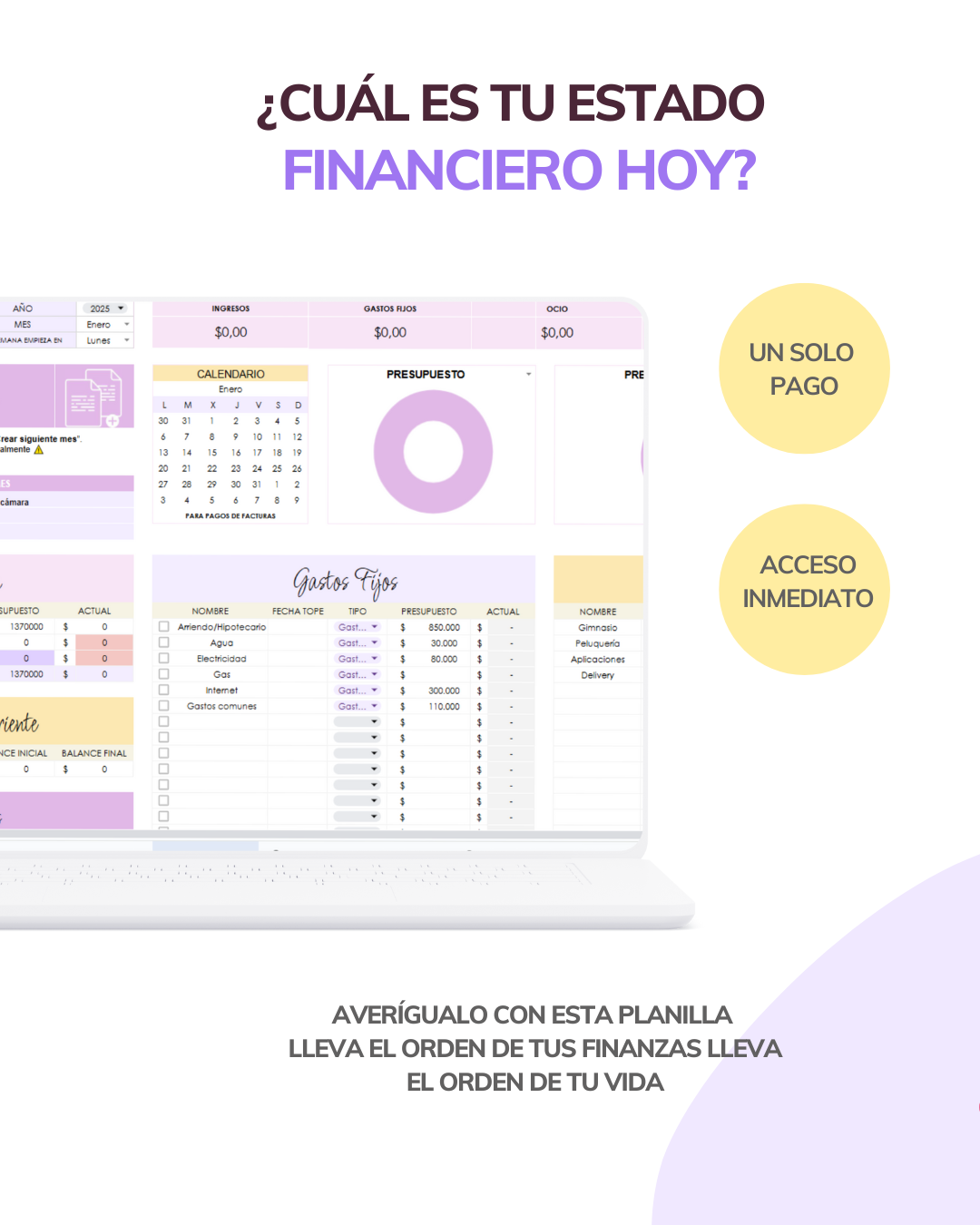 Planilla control de gastos PRO
